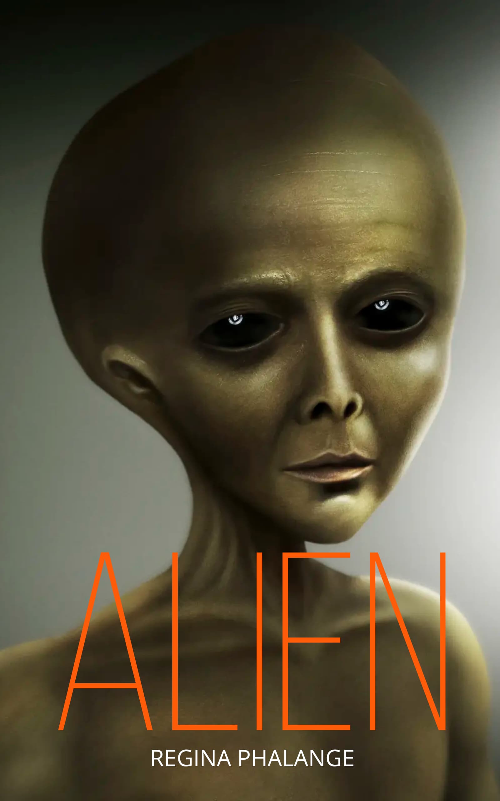 Book cover 15